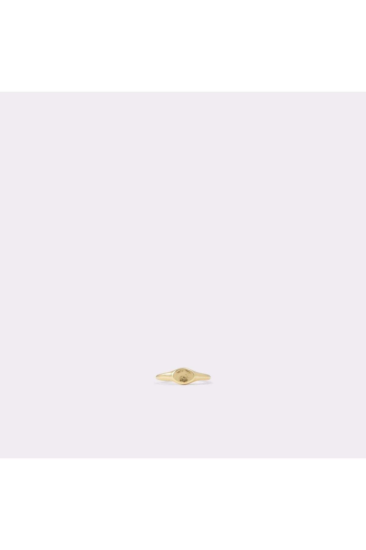 جيريرا / خاتم