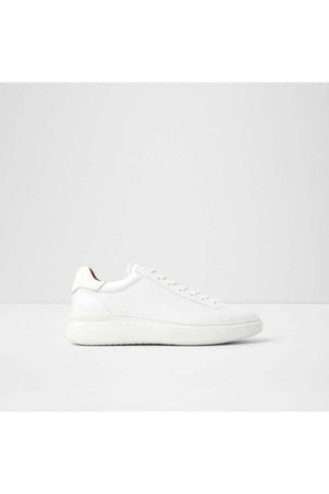 Toddy / Lace Ups