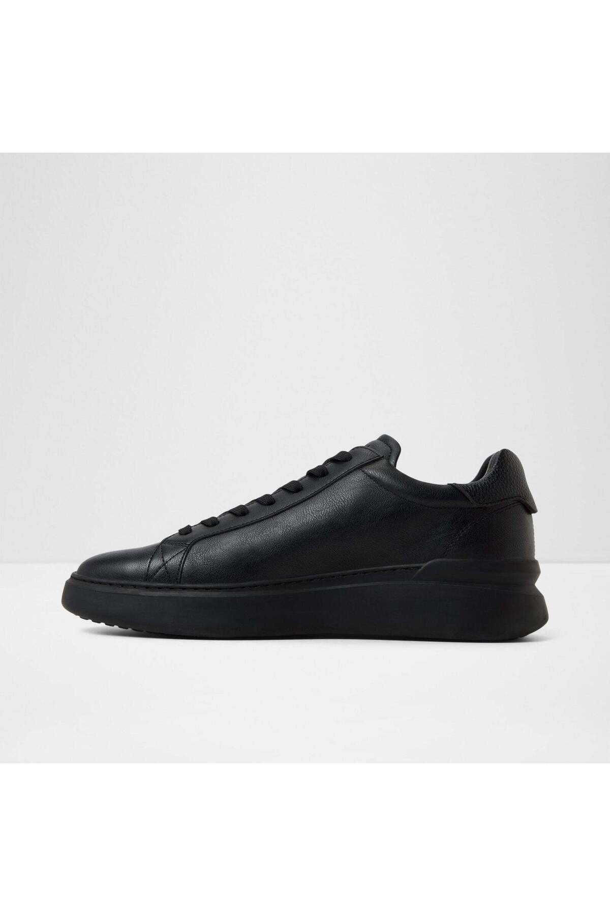 Toddy / Lace Ups