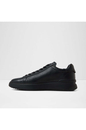 Toddy / Lace Ups