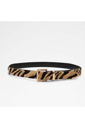 Ellecinch / Accessories