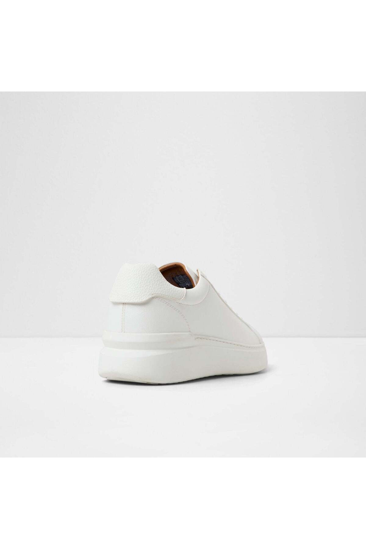 Toddy / Lace Ups