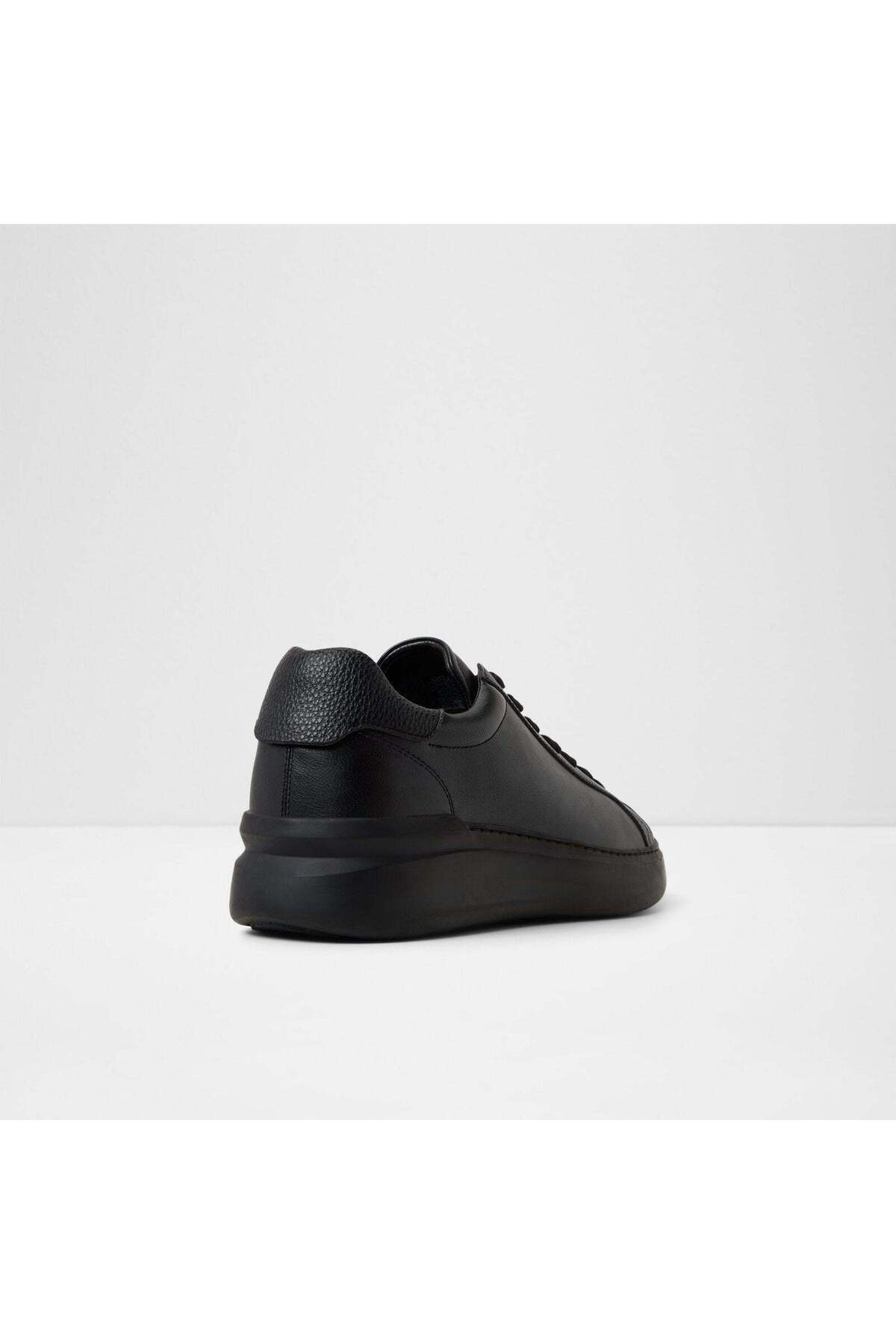 Toddy / Lace Ups