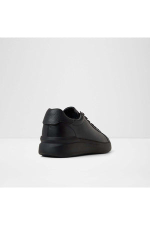 Toddy / Lace Ups
