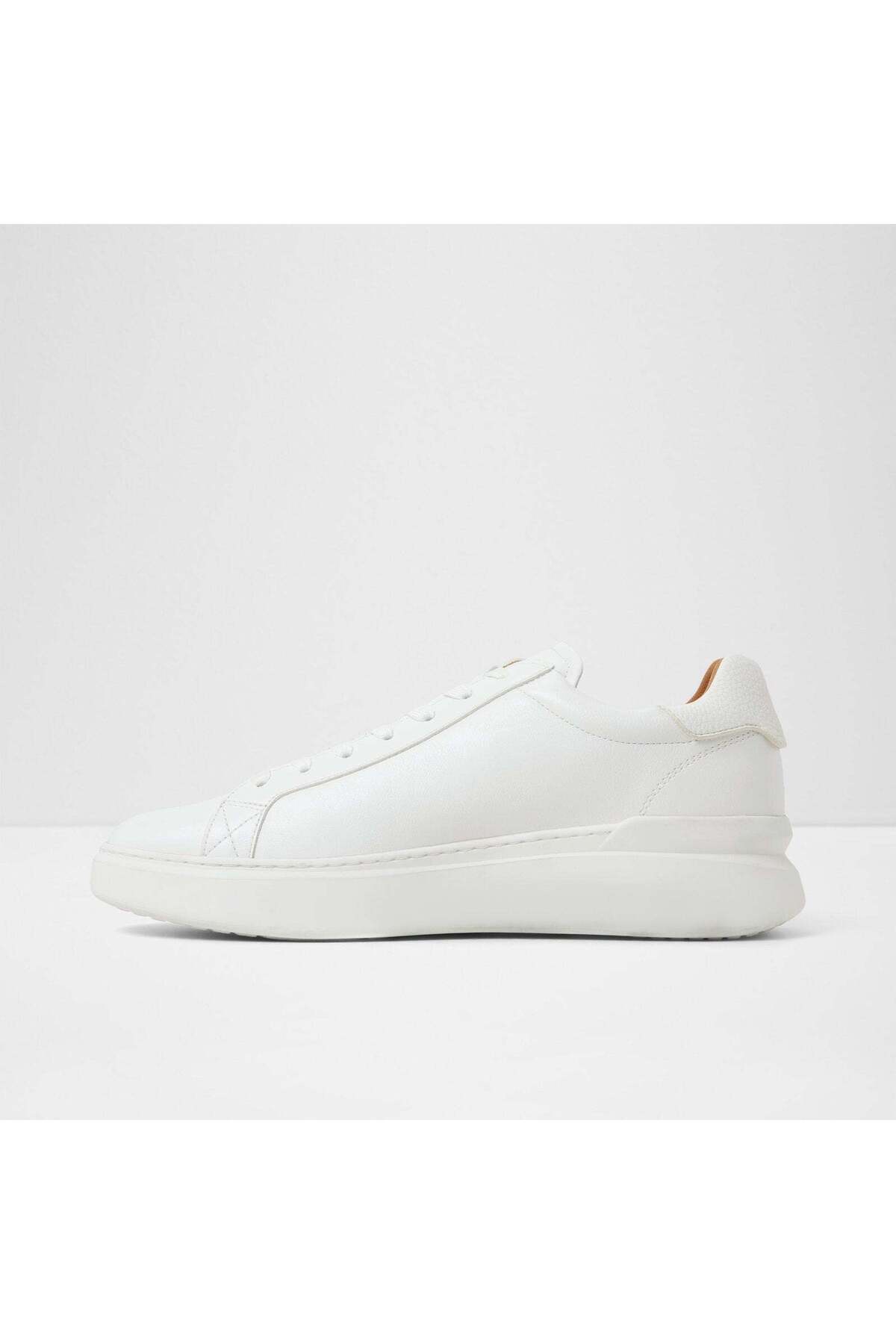 Toddy / Lace Ups