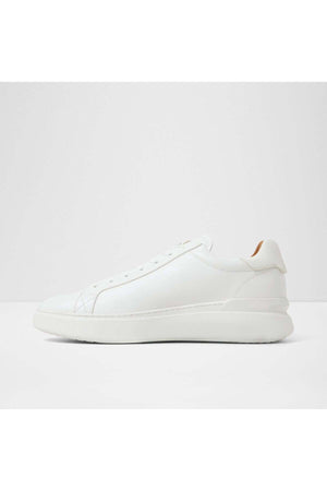Toddy / Lace Ups
