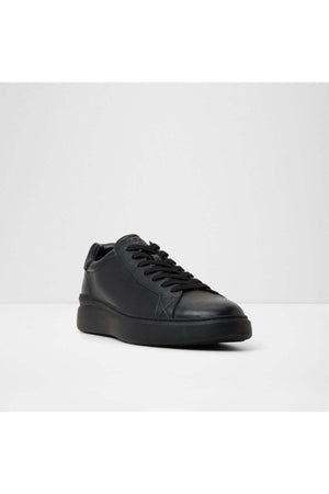 Toddy / Lace Ups