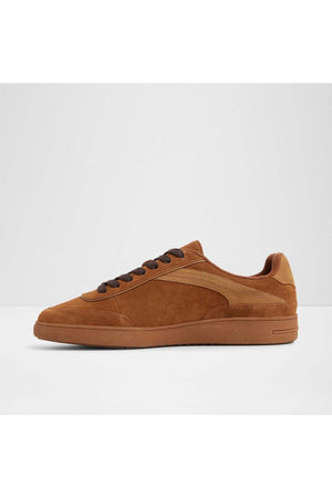 Cypress / Sneakers