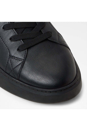 Toddy / Lace Ups