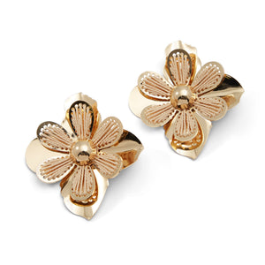 Aurrora
