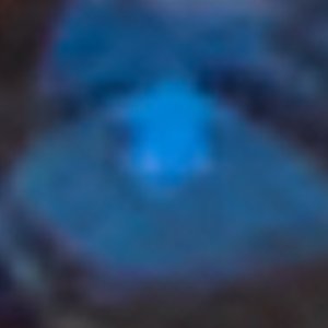 Eyelink / Rings