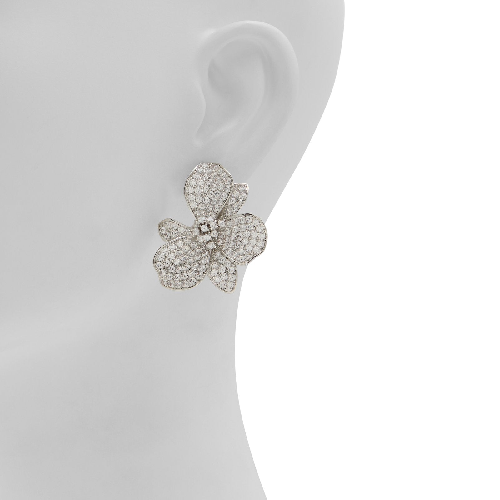 Daisydrip / إكسسوارات
