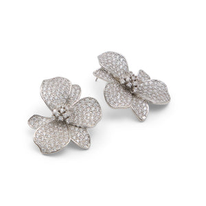 Daisydrip / Accessories