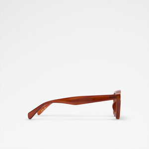 Dexterr / Sunglasses