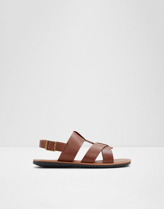 Educien / Flat Sandals Men Shoes - Cognac - ALDO KSA