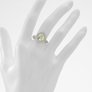 Enchant / Accessories