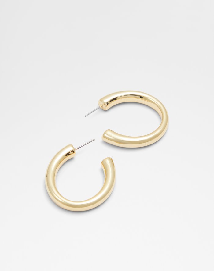 Euss / Earring Accessory - Gold - ALDO KSA