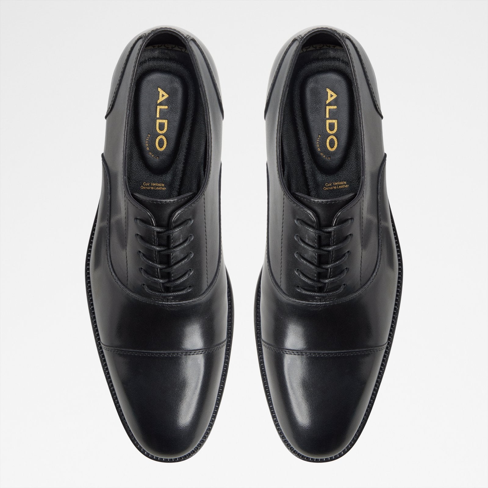 Fez / Lace Ups