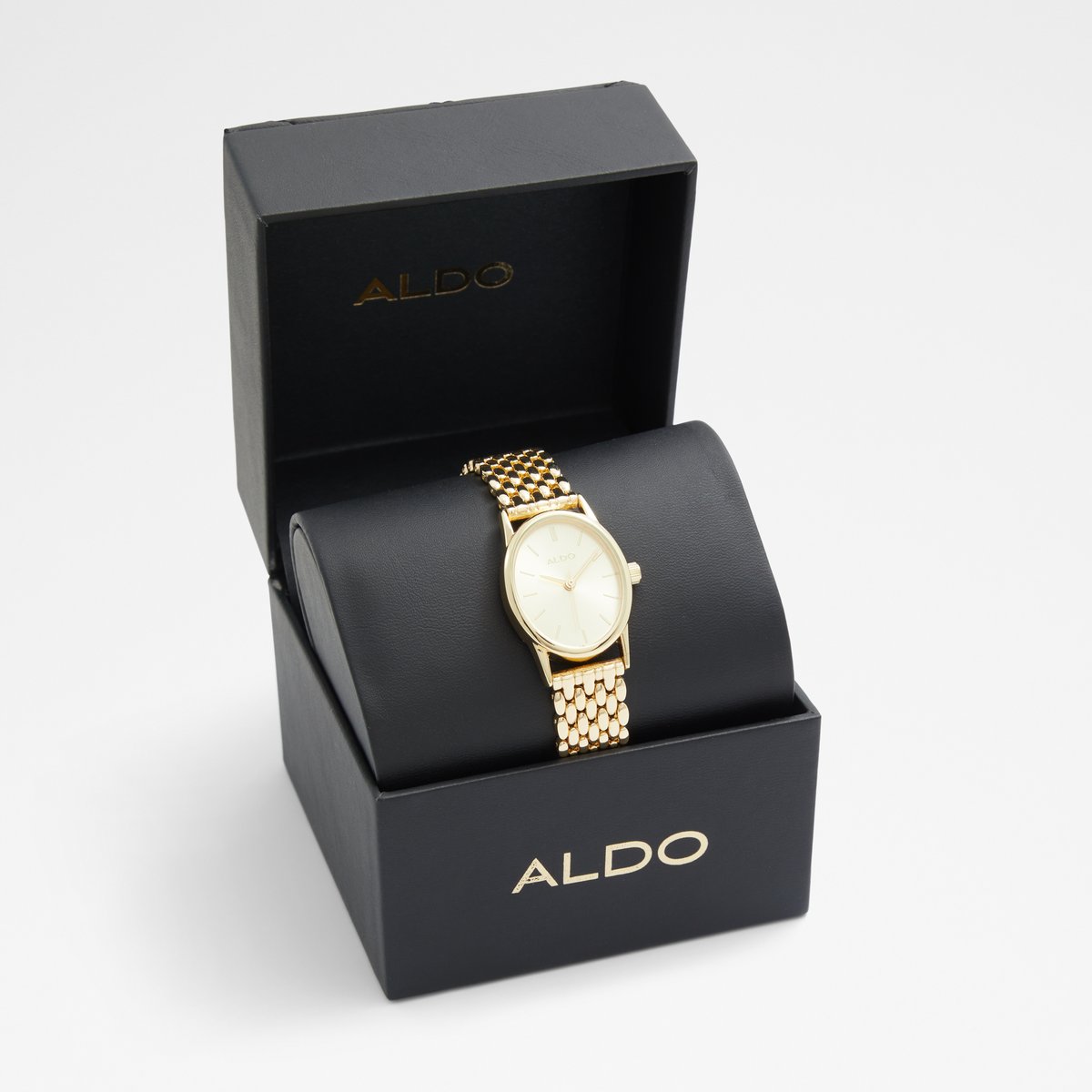 Gethin Accessory - Gold - ALDO KSA