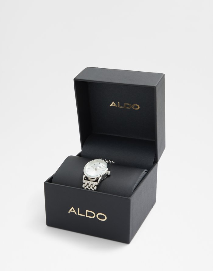 Gethin Accessory - Silver - ALDO KSA