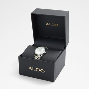 Gethin Accessory - Silver - ALDO KSA