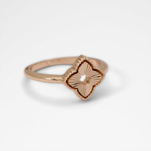 Jeasean / Accessories