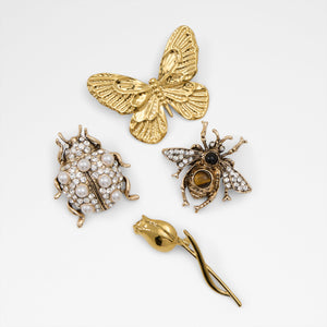 Nature /  Decorative Brooch