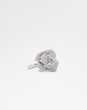 Pialilly / Accessories
