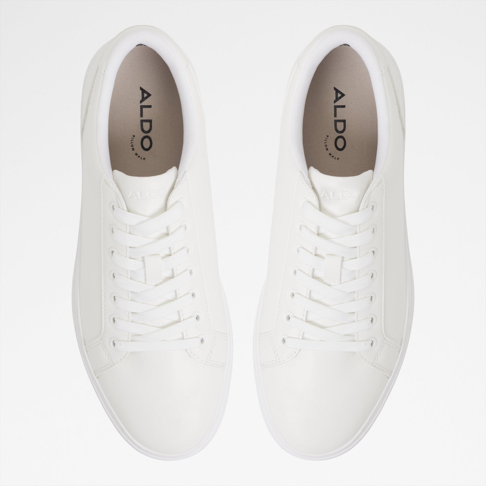Scottiee / Sneakers