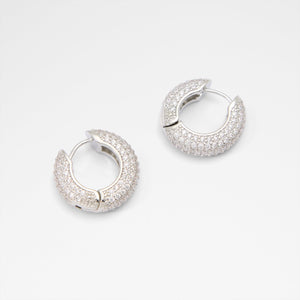 Strigidae / Accessories