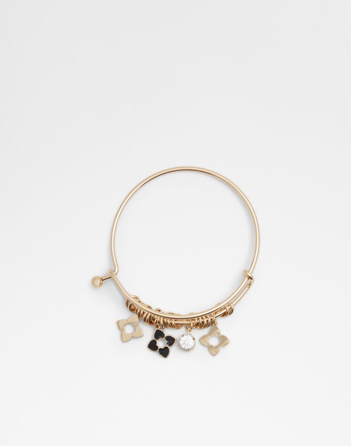 Aaedien Accessory - Black-Gold Multi - ALDO KSA