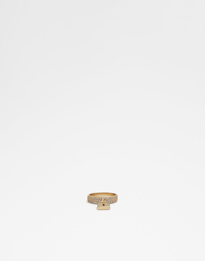 Berobredar Accessory - Gold-Clear Multi - ALDO KSA