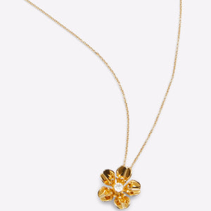 Branca Accessory - Gold-Clear Multi - ALDO KSA