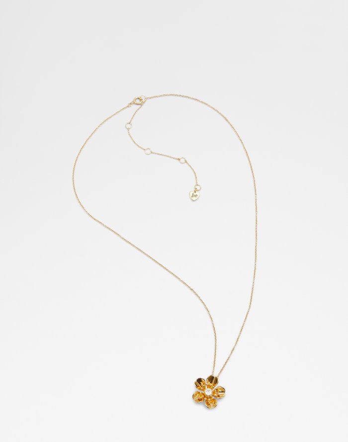 Branca Accessory - Gold-Clear Multi - ALDO KSA