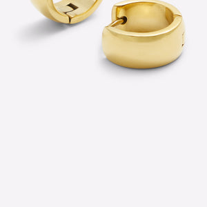 Driracia Accessory - Gold - ALDO KSA