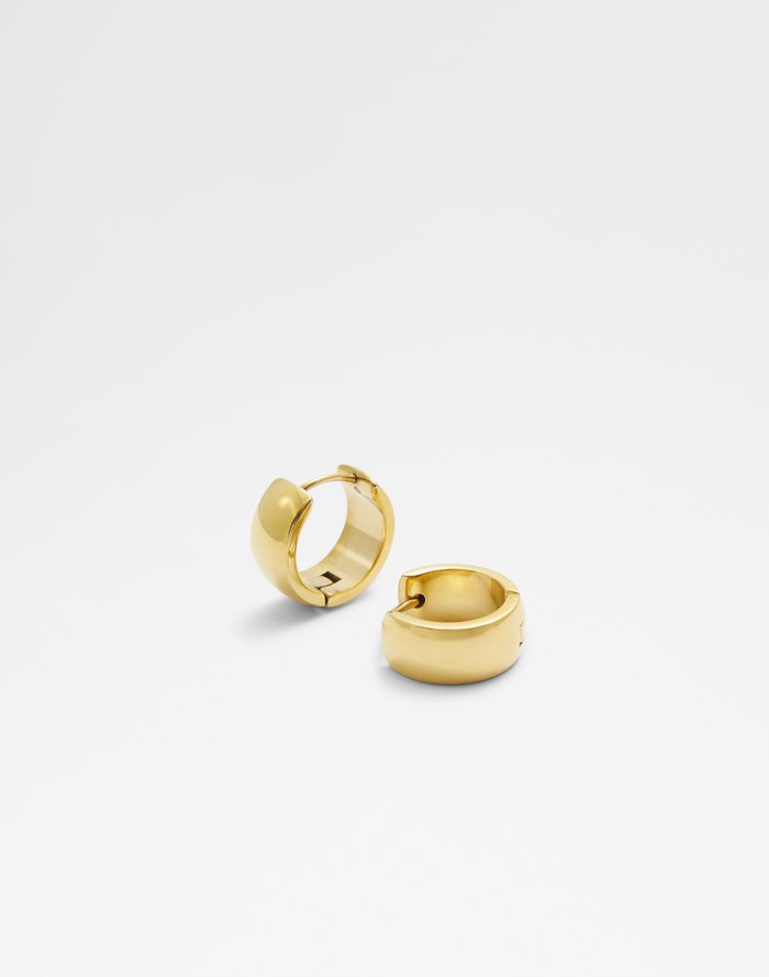 Driracia Accessory - Gold - ALDO KSA