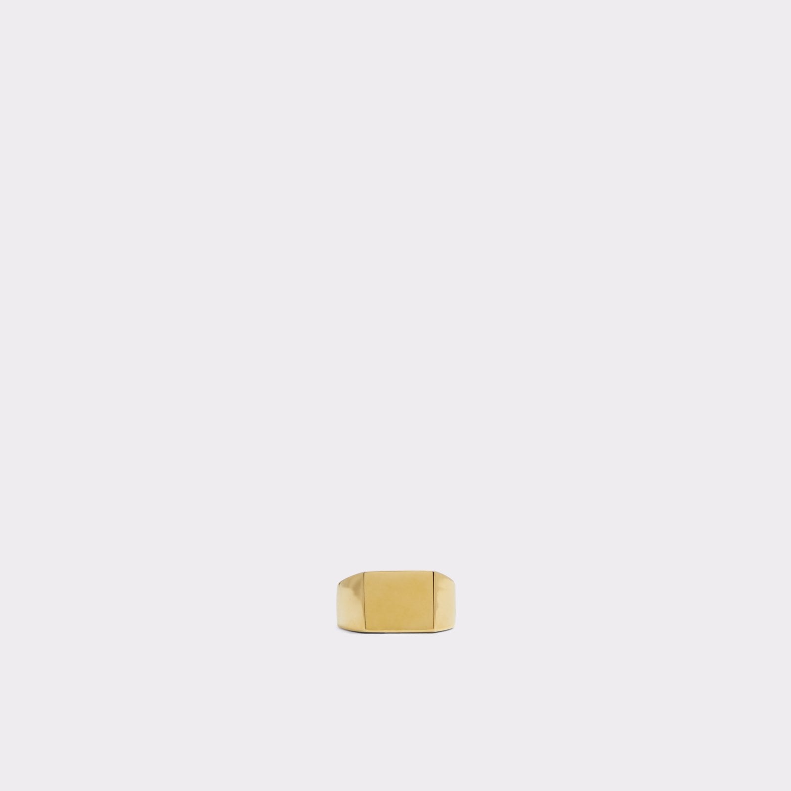 Droma Accessory - Gold - ALDO KSA