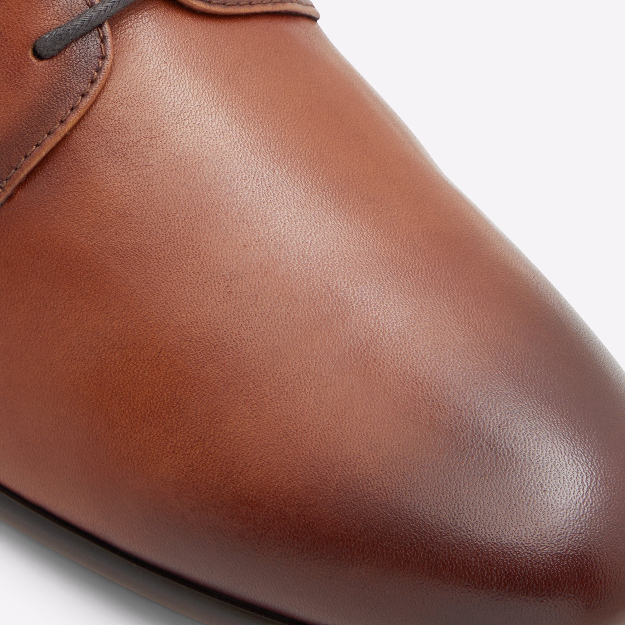 Edinburgh / Dress Shoes Men Shoes - Cognac - ALDO KSA