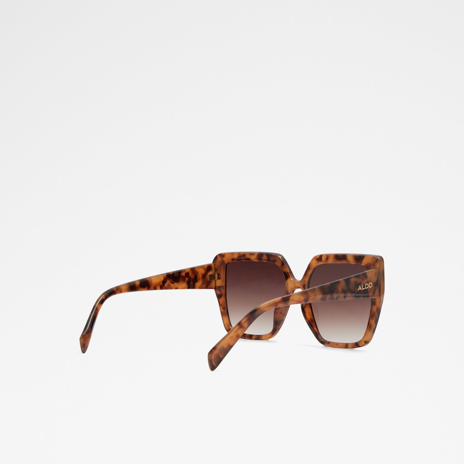 Hogdish Accessory - Brown - ALDO KSA