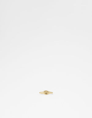 Jerira / Ring Accessory - Gold - ALDO KSA