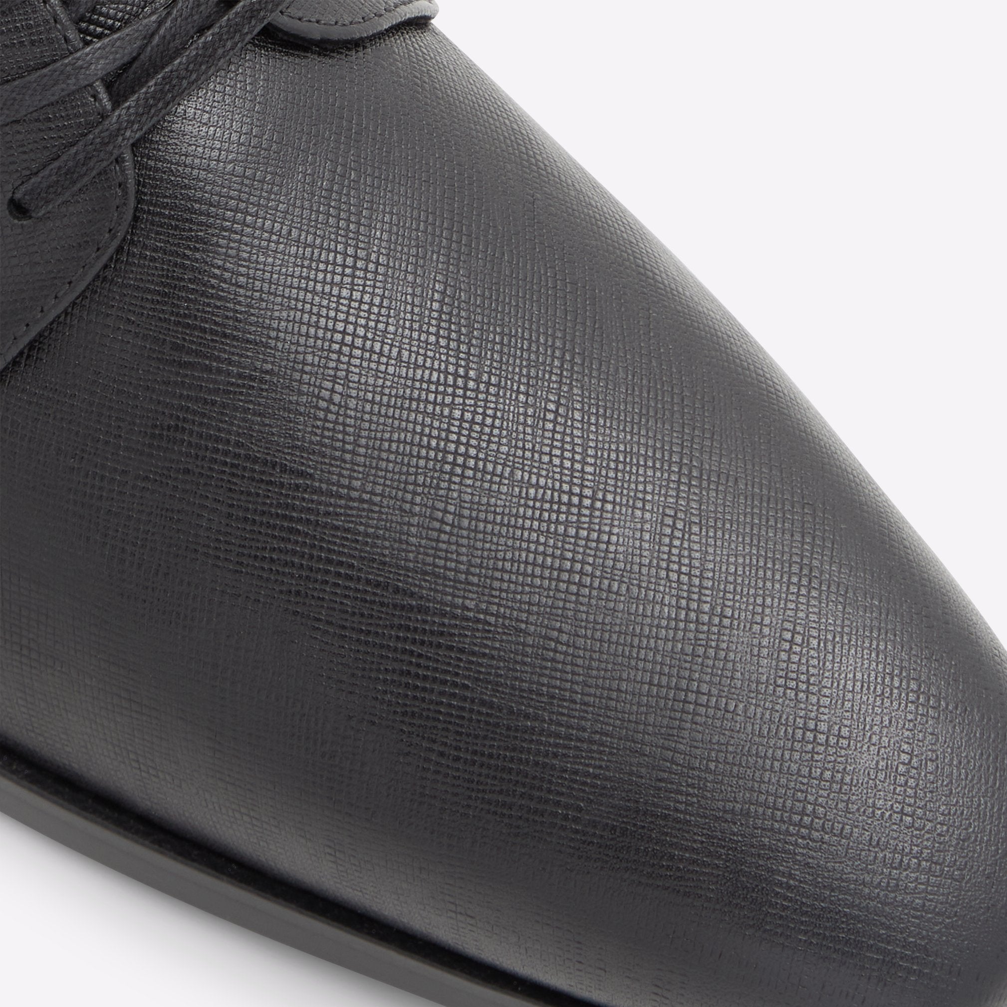 Montecassino Men Shoes - Black - ALDO KSA