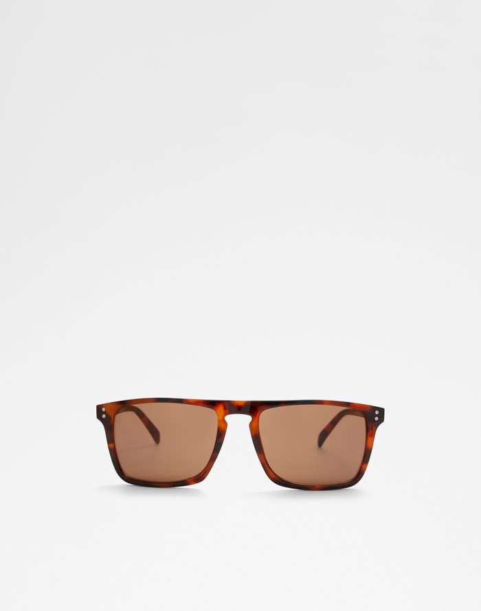 Pikeblenny Accessory - Brown - ALDO KSA