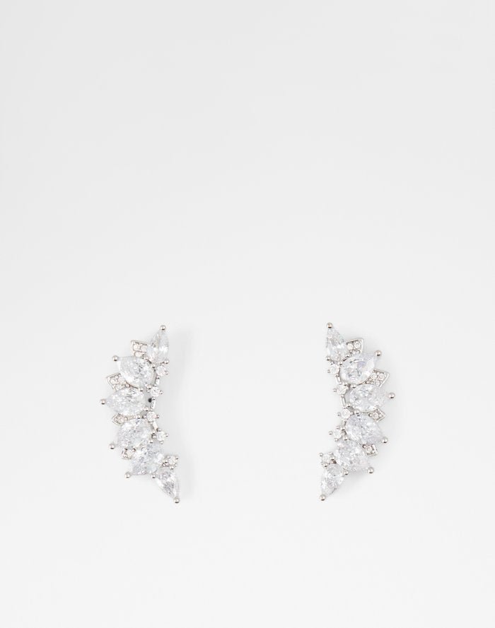 Seviedan Accessory - Silver-Clear Multi - ALDO KSA