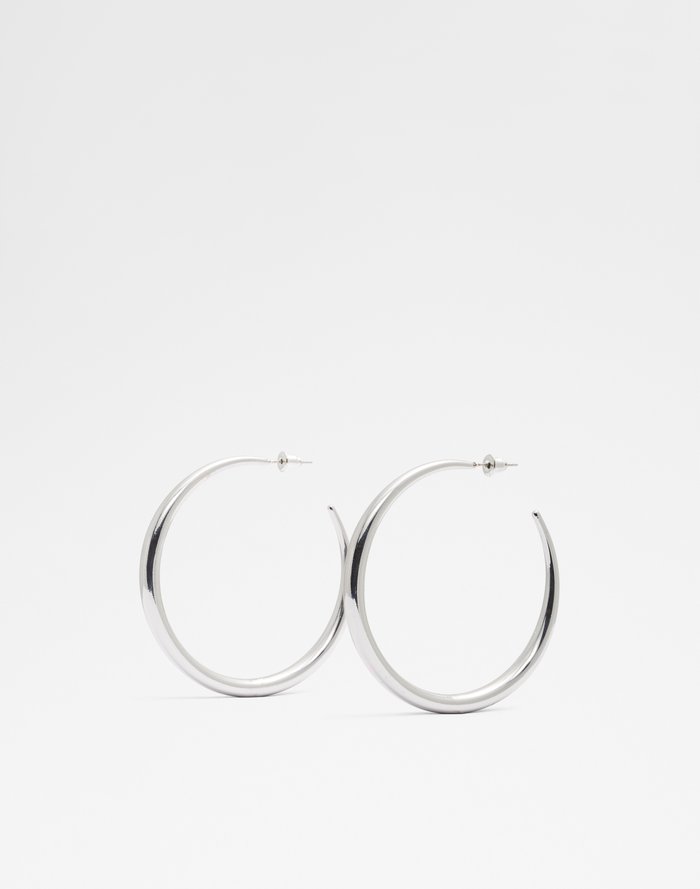 Veinante Accessory - Silver - ALDO KSA