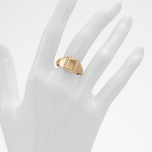 Yeatlan Accessory - Gold-Clear Multi - ALDO KSA