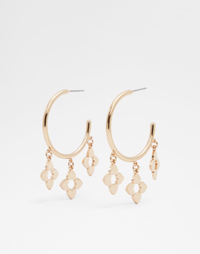 Zaligan Accessory - Gold - ALDO KSA